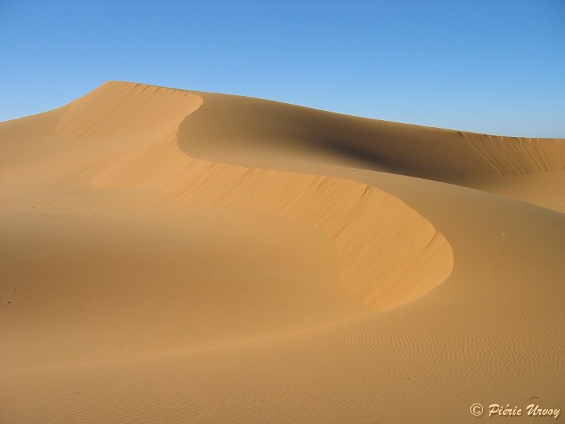 Dune de Merzouga.jpg